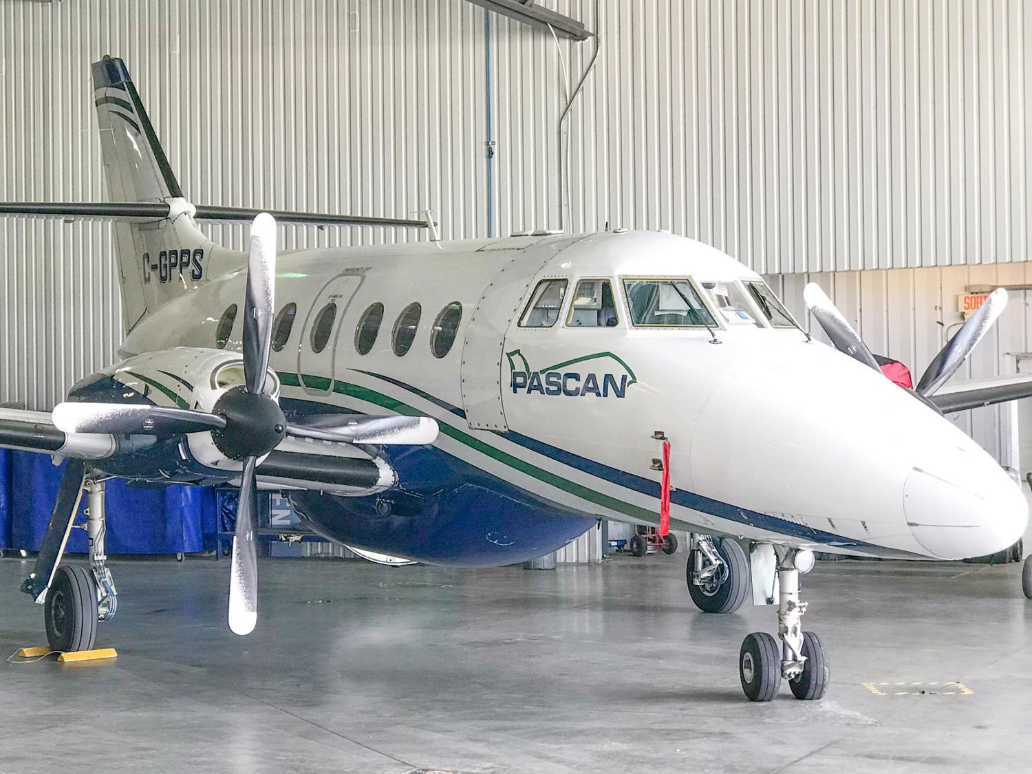Image of tail C-GPPS