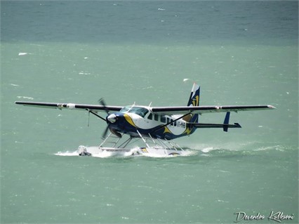 Image of tail N264KP